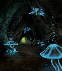 Forest Cave With Mushrooms